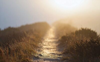 Stillstand in Veränderungsprozessen: Du steckst nicht fest. Du reifst.