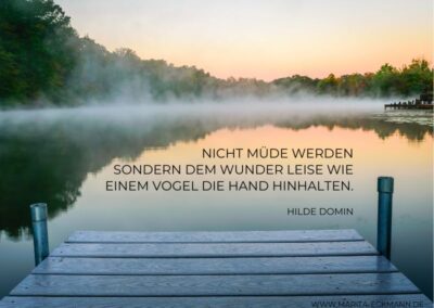 Nicht müde werden sondern dem Wunder leise wie einem Vogel die Hand hinhalten. Hilde Domin